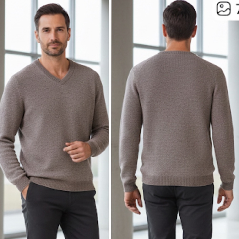 NORDSTROM Extra Fine Merino Wool Eyebird V-Neck Sweater Pullover In Taupe Sz XL